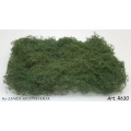 Rovi/Cesp verde scuro aghifogllie